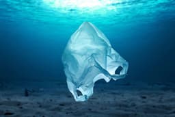 Replace plastic bags with ecological paper bags